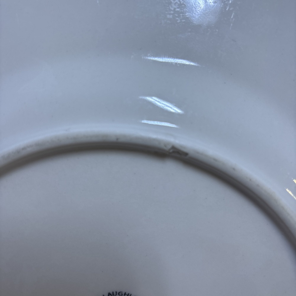 Homer Laughlin Restaurant Ware Dinner Plates 10.5" Set Of 2 Off White USA - Picture 6 of 6